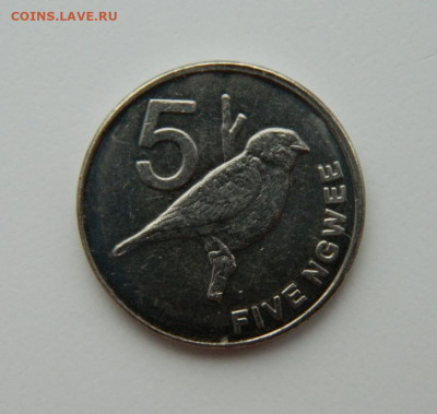 Замбия 5 нгве 2012 г. (Фауна) до 24.02.22 - DSCN3091.JPG