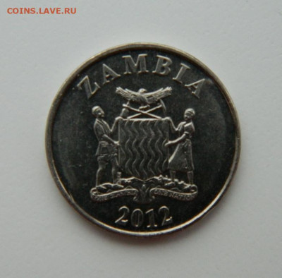Замбия 5 нгве 2012 г. (Фауна) до 24.02.22 - DSCN3092.JPG
