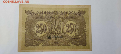 250 карбованцев Украины, 1918г., до 26.02.2022г. - IMG_20220220_205746_thumb