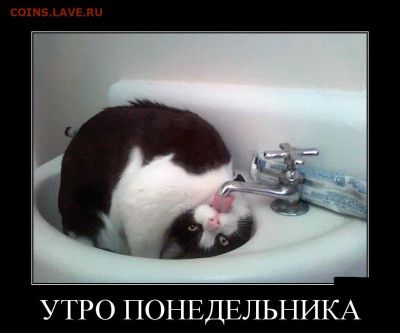 Чатик на самарском - Понедельник