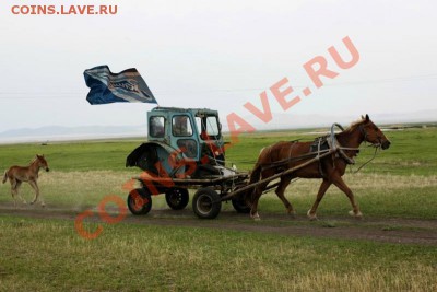 ash1 (36) с Днем Рожденья! - 0_7e8ae_b0c46460_XL