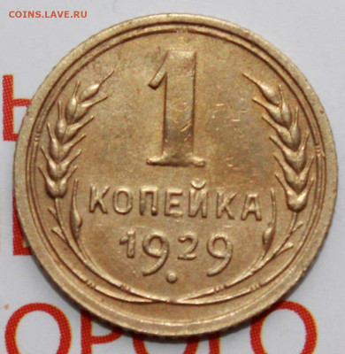 1 копейка 1929 г.  До 26. 02. 22 г. в 22 00 по мск - IMG_0578.JPG