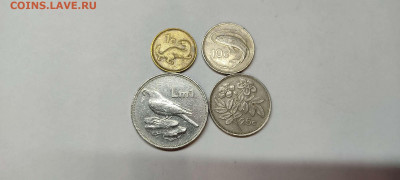 Мальта, подборка монет 80-х годов, до 26.02.2022г. - IMG_20220220_225503_thumb