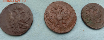 Денга и полушка 1749г.+ Денга 1746 г. - IMG_20220221_123927мал