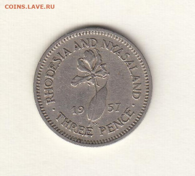 Африка, 6 монет 1952-1985 до 25.02.22, 23:00 - #И-1000