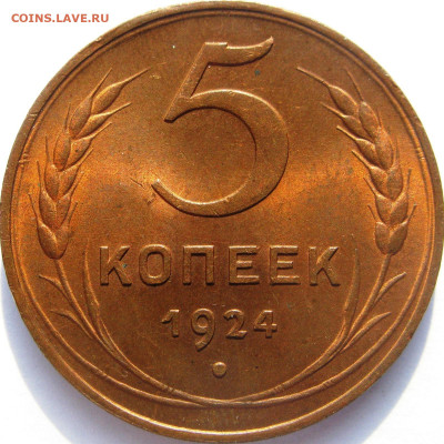 5 копеек 1924 Серп широкий. Слева от звездочки ости длинные. - 52101b