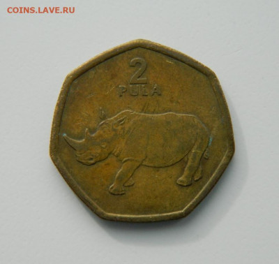 Ботсвана 2 пула  2004 г. (Фауна) до 28.02.22 - DSCN3169.JPG