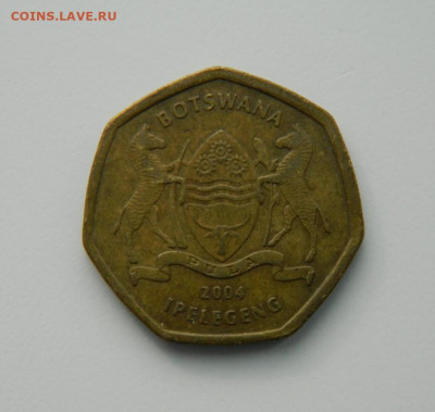 Ботсвана 2 пула  2004 г. (Фауна) до 28.02.22 - DSCN3170.JPG