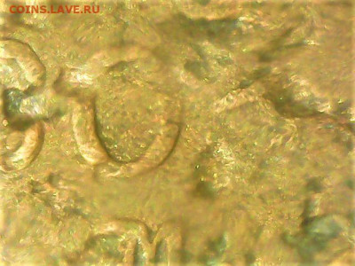 5 копеек 180? - Thu Feb 24 19-56-06