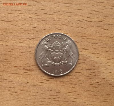 Ботсвана 25 тхебе 1976 Бык Зебу фауна животные ФАО FAO - IMG_6393.JPG