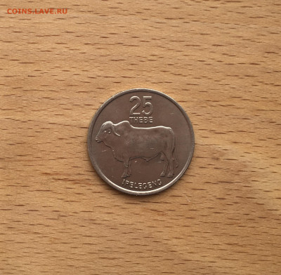 Ботсвана 25 тхебе 1976 Бык Зебу фауна животные ФАО FAO - IMG_6389.JPG