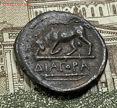 Херсонес на определение и оценку! - image-28-02-22-02-58-1