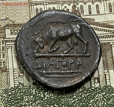 Херсонес на определение и оценку! - image-28-02-22-02-58-2