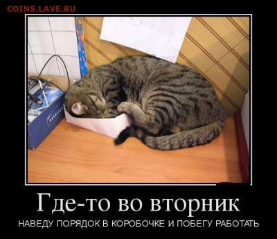 Чатик на самарском - 387886_900