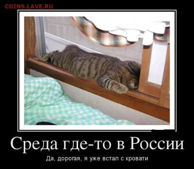 Чатик на самарском - 361346_900