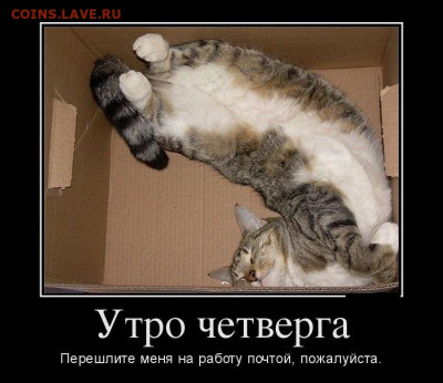 Чатик на самарском - 1484215599_chetverg