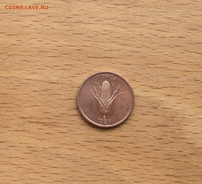 Тонга 1 сенити 1981 Кукуруза Флора - IMG_6586.JPG