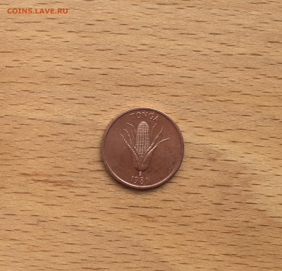 Тонга 1 сенити 1981 Кукуруза Флора - IMG_6584.JPG