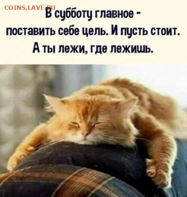 Чатик на самарском - 897885_original