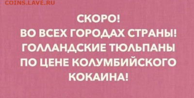 юмор - i