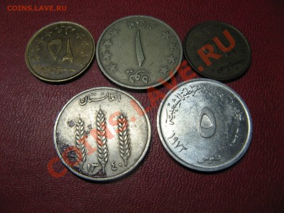 5 монет с арабской вязью - IMG_4275.JPG