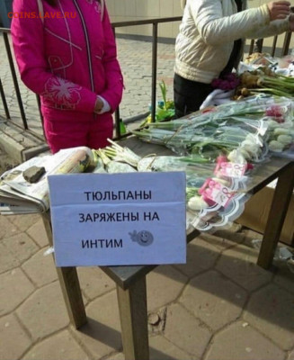 юмор - IMG-20220308-WA0008