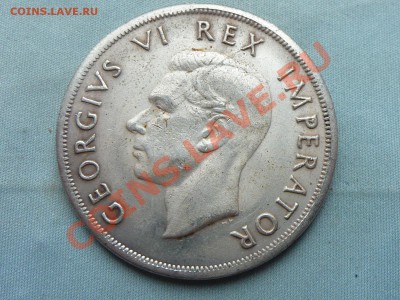 С РУБЛЯ ЮЖНАЯ АФРИКА 5 шиллингов 1947г. ОЛЕНЬ до 20.11.11 - MEMO0027.JPG
