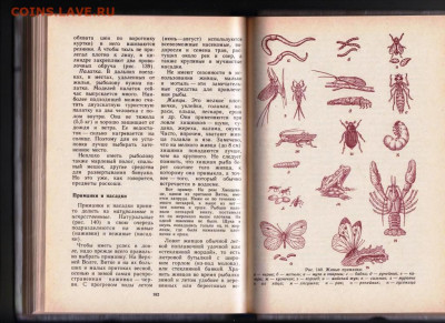 П.В. ИВНЕВ УДАЧЛИВЫЙ РЫБОЛОВ 1986 г. до 15.03.22 г. в 23.00 - 017