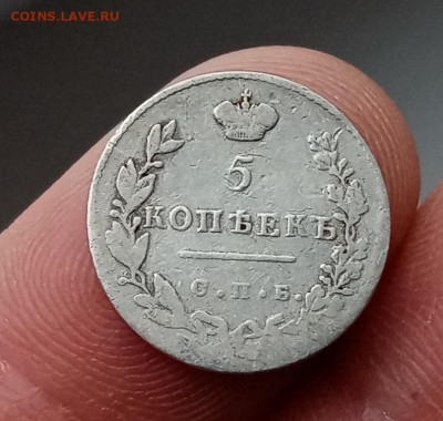 10 копеек 1829 г., 5 копеек 1831 г. крылья вниз - IMG_20220309_154853