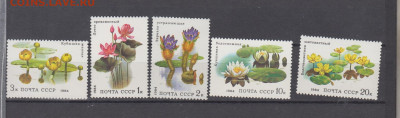СССР 1984 водные растения 5м** до 15 03 - 84п