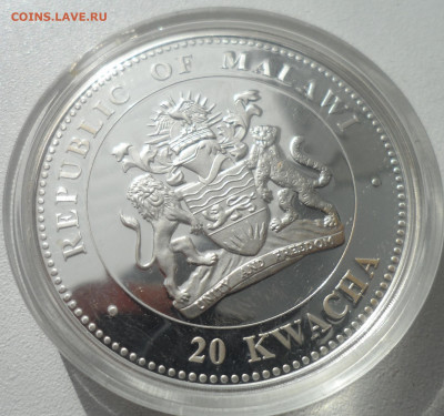 20 квач 2011 — Год кролика — Малави - SAM_2899.JPG