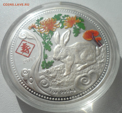 20 квач 2011 — Год кролика — Малави - SAM_2895.JPG