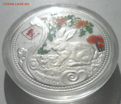 20 квач 2011 — Год кролика — Малави - SAM_2894.JPG