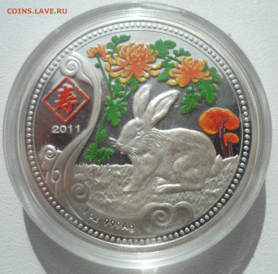 20 квач 2011 — Год кролика — Малави - SAM_2893.JPG