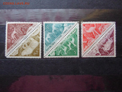 ЧАД  ЧБН** 1963г. - SAM_0339.JPG