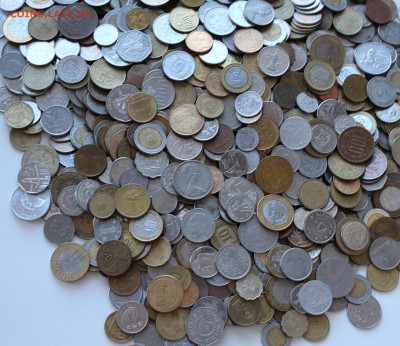 800 монет экзотики (3,8 кг) - IMG_8517.JPG