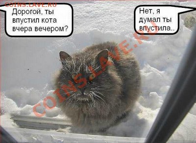 юмор - )))