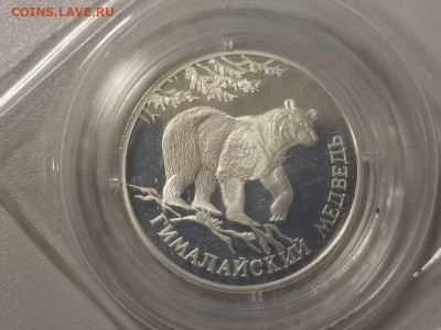 1р 1994г Красная книга- Медведь. Пруф запай, Ag900, до 18.03 - X Гималайский медведь зап-1
