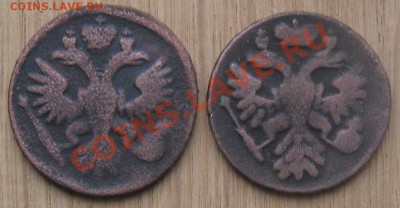 Деньга (2шт) 1734;1738г. - IMG_4254