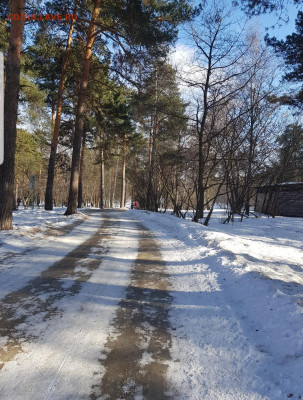 делает - прямо сейчас !!! - Screenshot_20220313-165436_Gallery