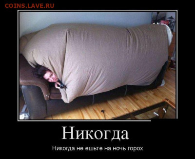 игра "Трансформация слов 2.0" Перезагрузка. - a1f32e0ff8208fc6f390cdca86df117b