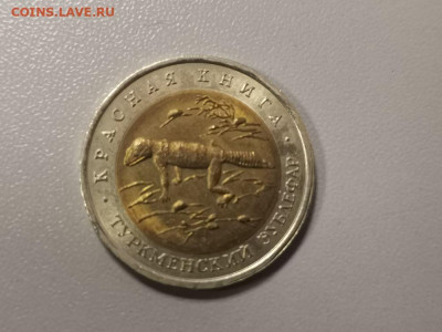 50 рублей 1993г Туркменский зублефар, до 19.03 - СГ КК Зублефар-1