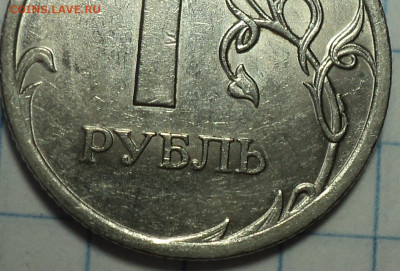 РАЗНОВИДНОСТИ  от  СЛФ - DSC05793.JPG