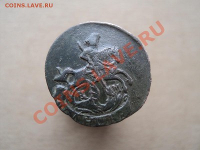 полушка 1783 км до 18.11.11 в 22.00 по мск. вр. - DSC01257.JPG