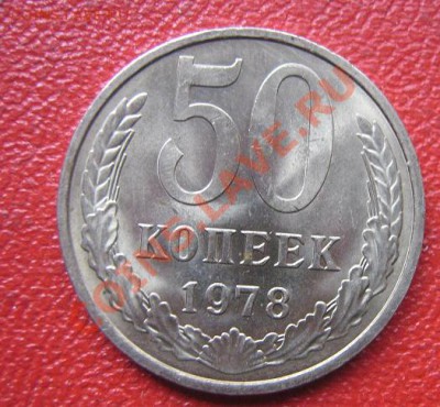 11.11 - IMG_2010