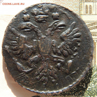 Деньга 1731 года (перечекан) - DSCN6780.JPG