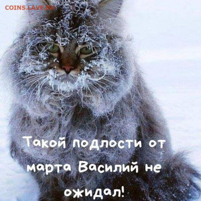 юмор - i1