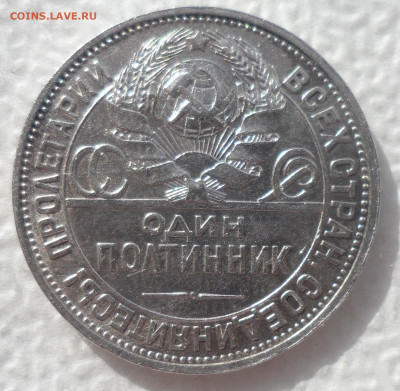 ПОЛТИННИК 1925 ГОДА до 22.03-22.00.00 - SAM_2949.JPG