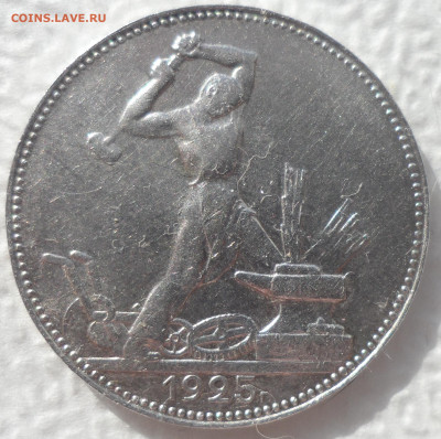 ПОЛТИННИК 1925 ГОДА до 22.03-22.00.00 - SAM_2947.JPG