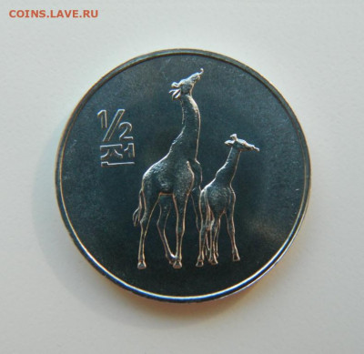 2 чон 2002 г.(Юбилейная) Жирафы до 24.03.22 - DSCN3562.JPG